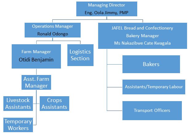 JAFEL Organizational Structure